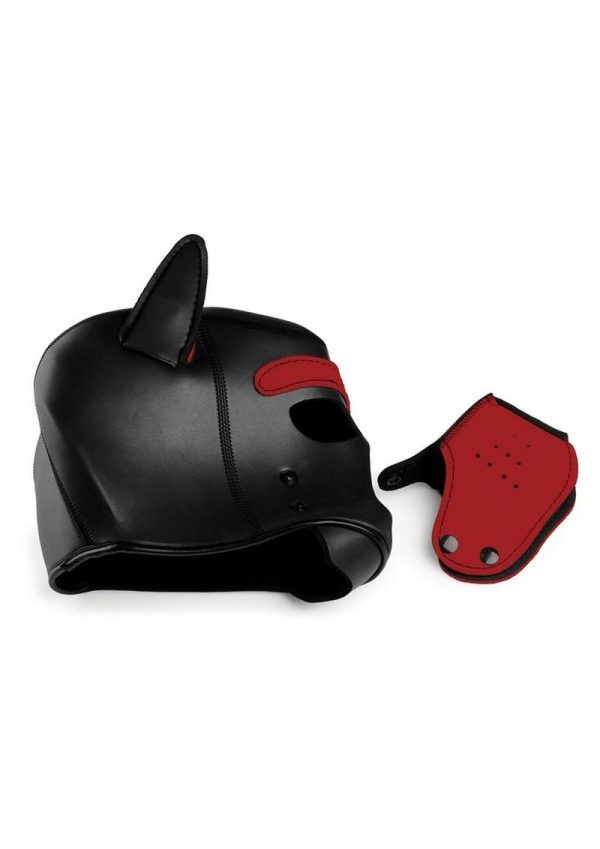 Master Series Spike Neoprene Puppy Hood - Red and Black