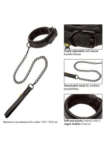 Boundless Collar and Leash - Black