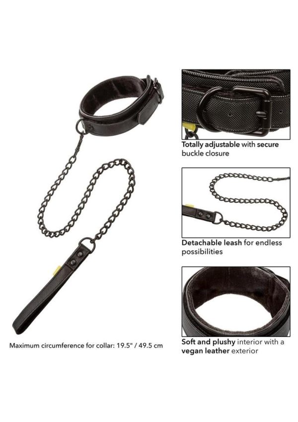 Boundless Collar and Leash - Black
