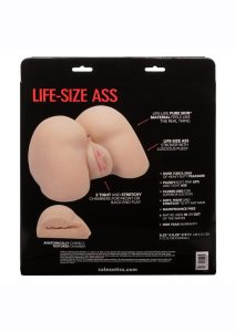 Stroke It Life-Size Masturbator - Ass - Vanilla