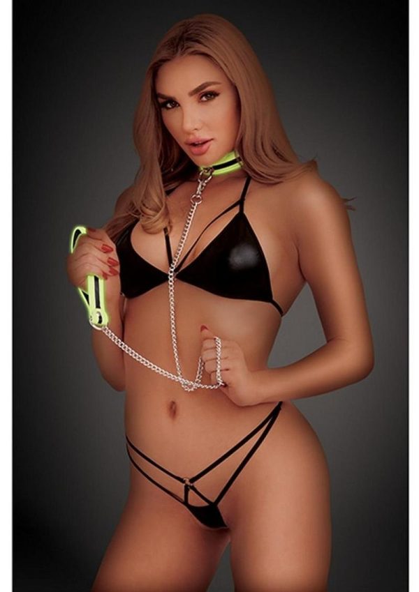 WhipSmart Glow In The Dark Deluxe Collar And Leash
