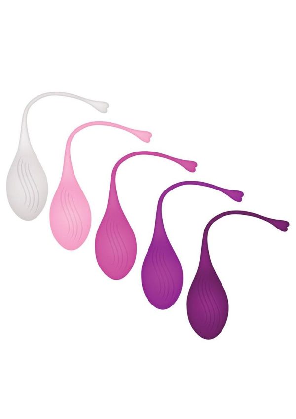 Tight and Delight Silicone Weighted Kegel Balls Set (5 piece) - Multicolor