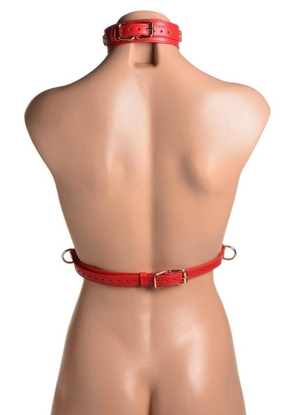 Strict Female Chest Harness - Medium/Large - Red