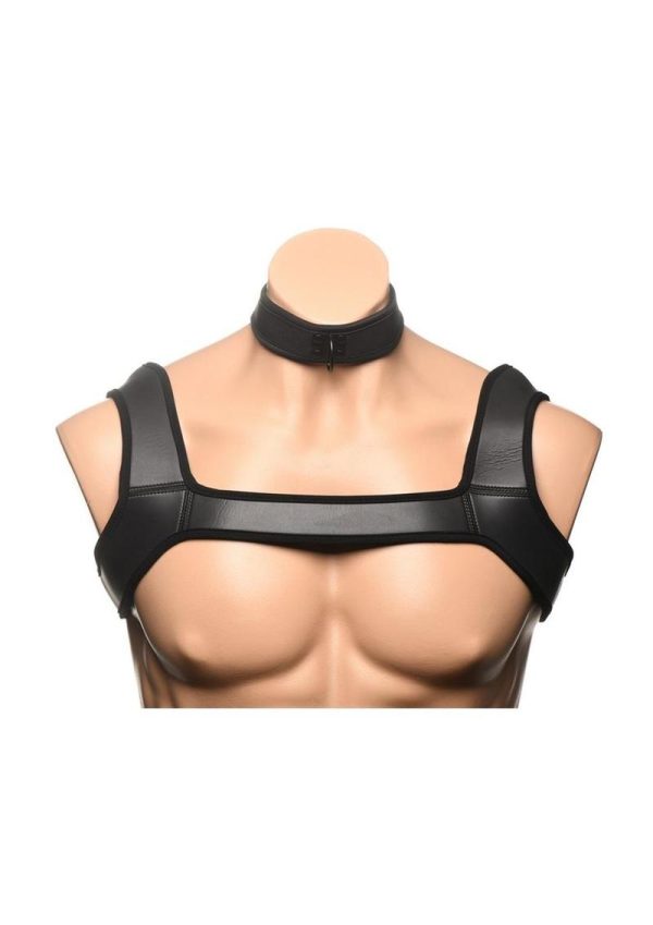 Collar with Leash and Arm Bands - Black