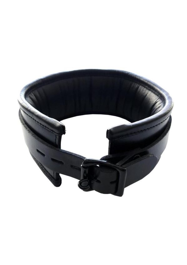 Padded Leather Collar - Black