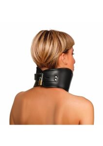 Master Series Hard Stance Padded Lock Posture Collar - Black