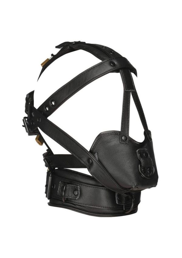 Master Series Leather Head Harness with Muzzle - Black