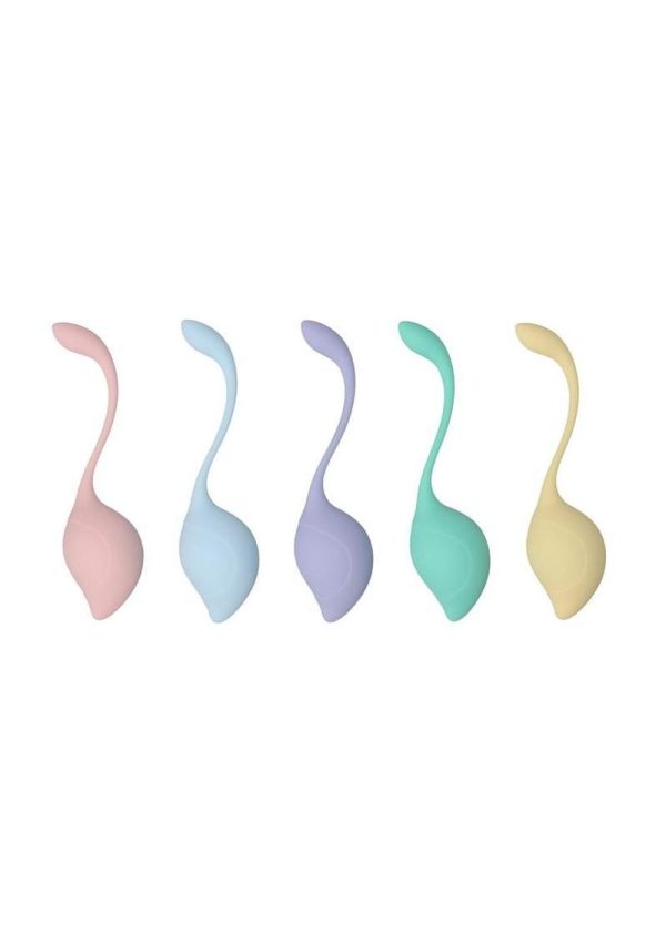 Loveline PelvFit Multiweight Stem Kegel Kit (5 Piece) - Multicolor