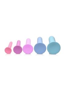 Passion Silicone Pelvic Kegel Exerciser Set (5 Piece) - Lavender